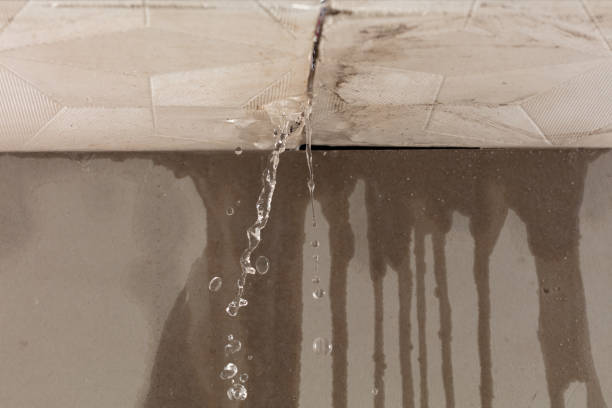 Professional Burst Pipe Cleanup technician working in Sheridan, IL